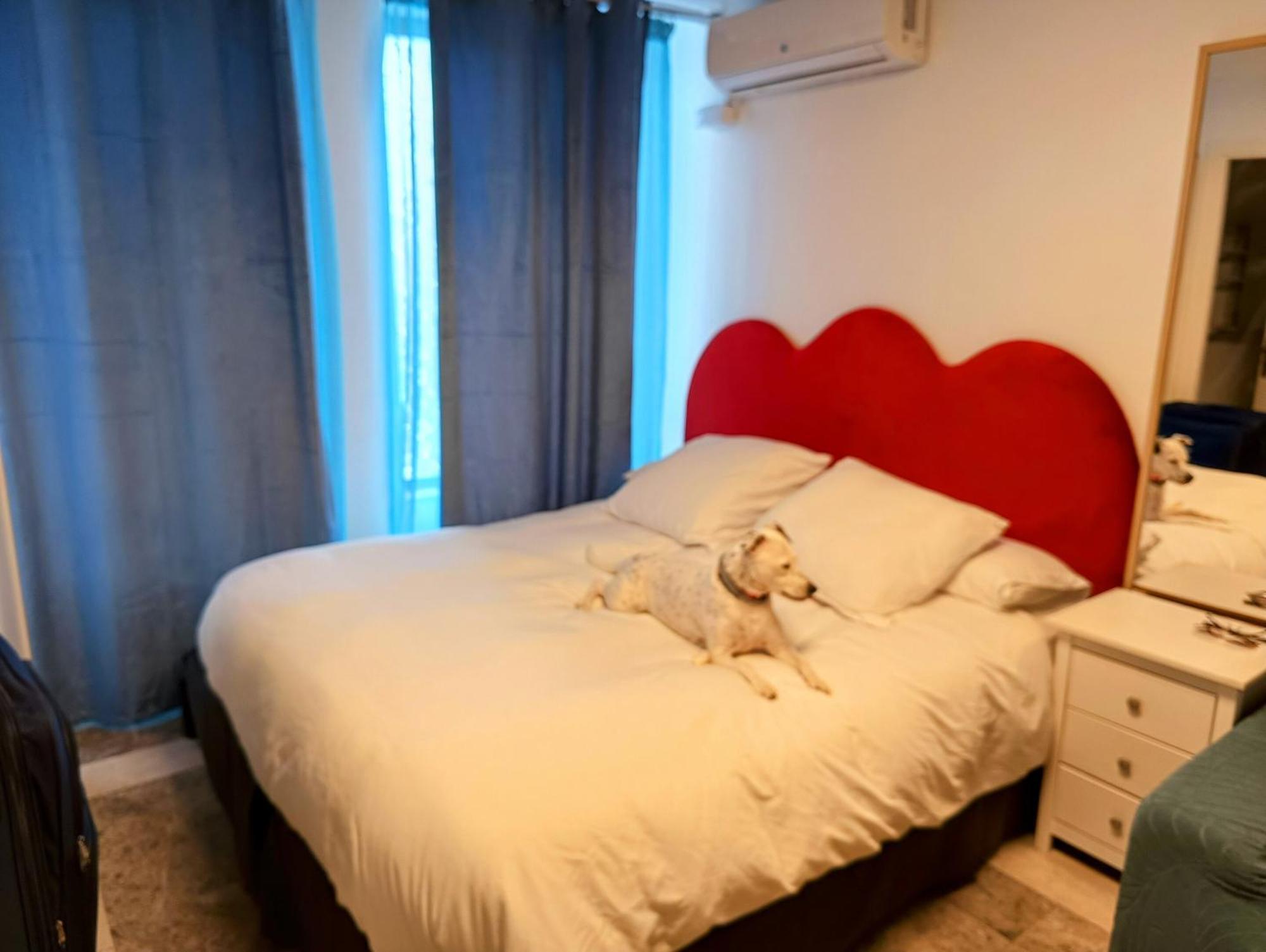 Hostal Estudios Бадалона Екстериор снимка