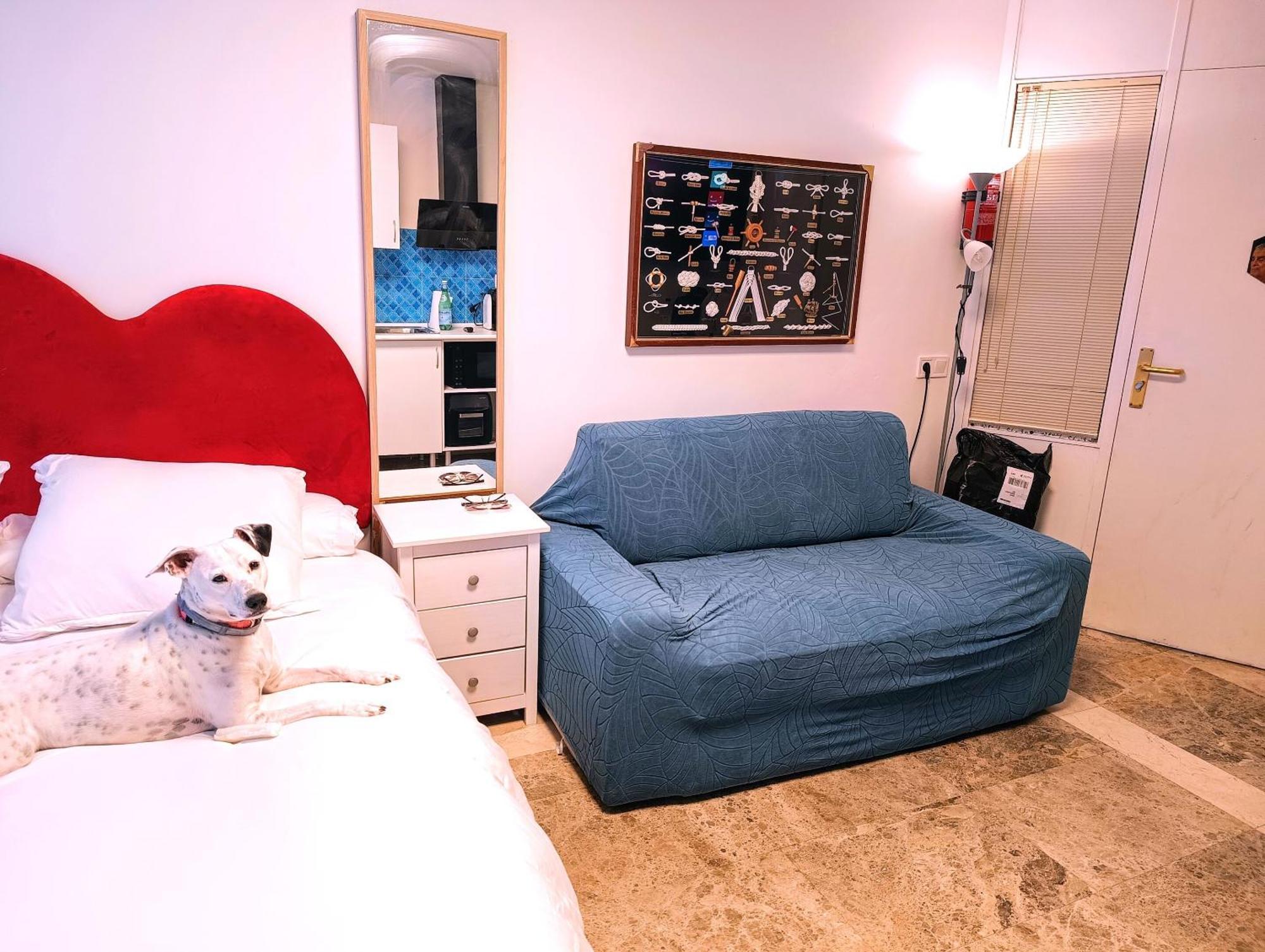 Hostal Estudios Бадалона Екстериор снимка
