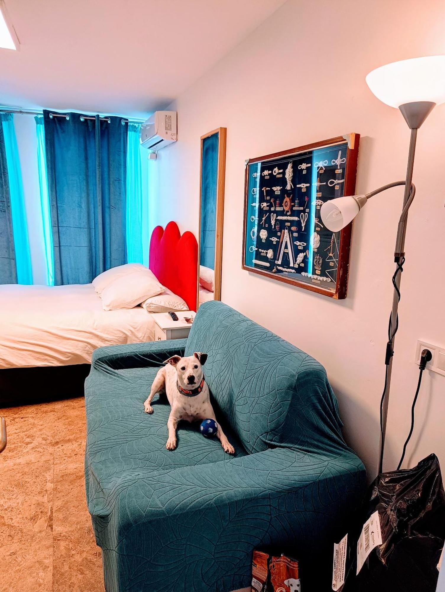 Hostal Estudios Бадалона Екстериор снимка